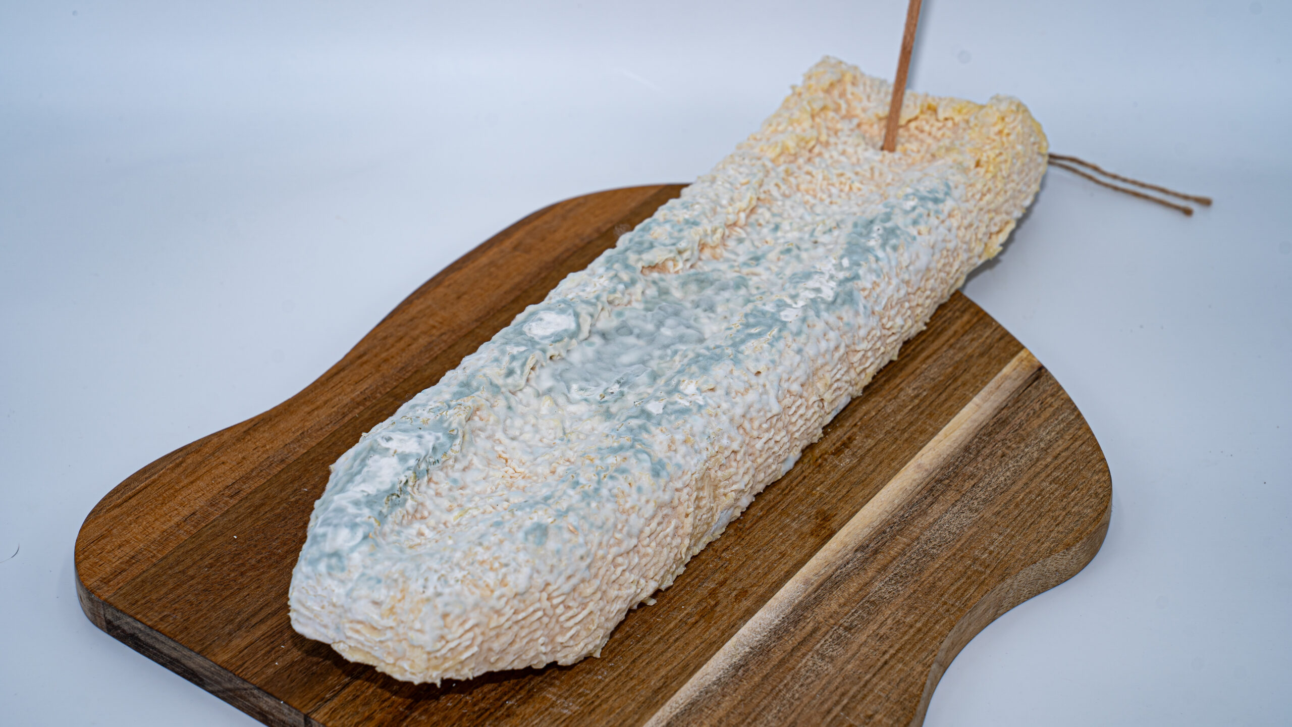 La Gabarre – Image 5