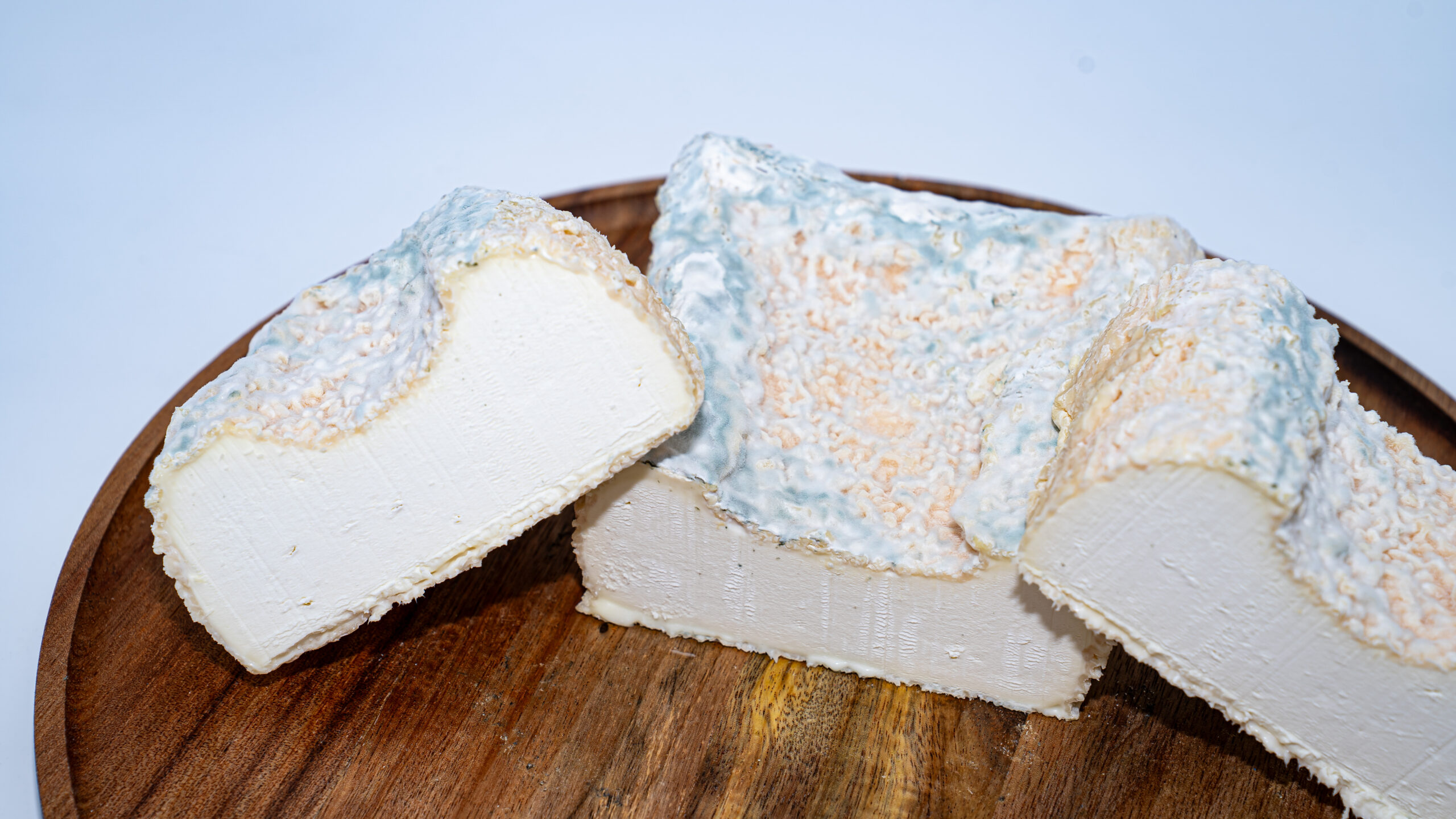 La Gabarre – Image 2